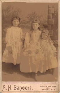 The Young Gale Girls, (L to R) Alice, Carrie (Married Name-Cole), & Julia (Married Name-Briggs), Hamburg, New York, 1890 (Daughters of William H. and Anna [Henn] Gale)